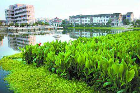 “海綿城市”的理念運(yùn)用到城市“雨水公園”中