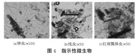 污水處理設(shè)備__全康環(huán)保QKEP