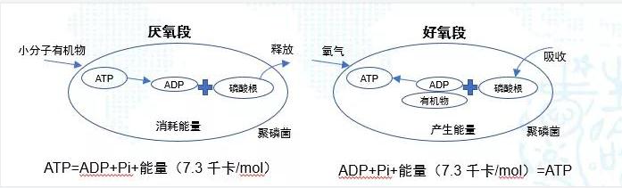 污水處理設(shè)備__全康環(huán)保QKEP