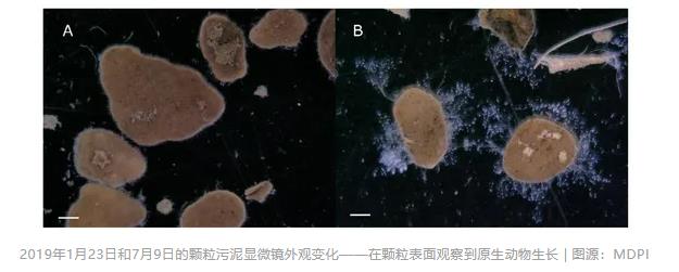 污水處理設備__全康環(huán)保QKEP