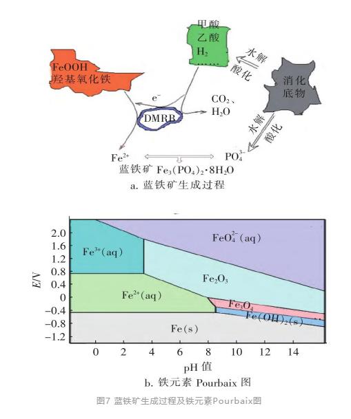 污水處理設備__全康環(huán)保QKEP