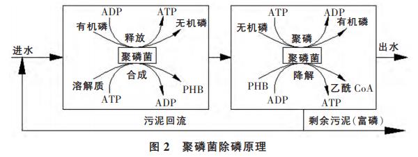 污水處理設(shè)備__全康環(huán)保QKEP