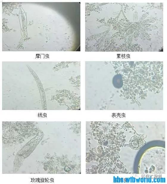 污水處理設(shè)備__全康環(huán)保QKEP